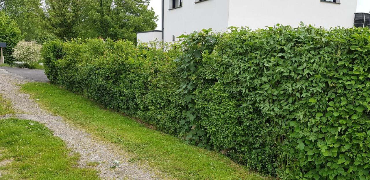 Maison Moderne A La Campagne Bezinghem Экстерьер фото